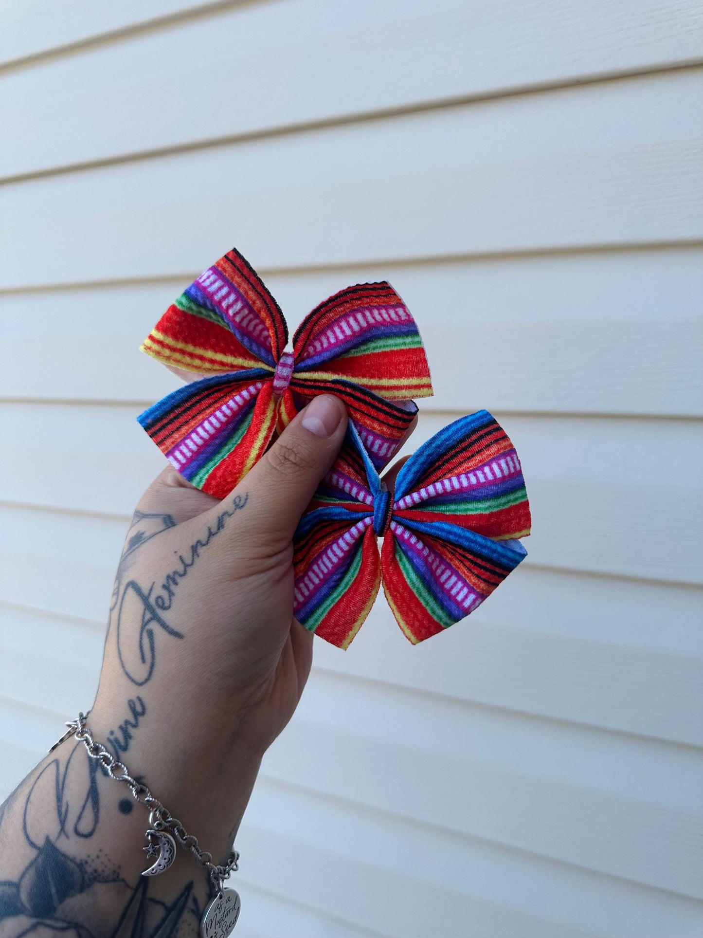 Serape Pinwheels