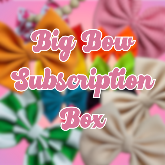 Big Bow Monthly Box